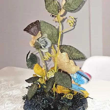 Guest house Vacansis Santiago Garcia Prieto Y Romero Donallo Privadas